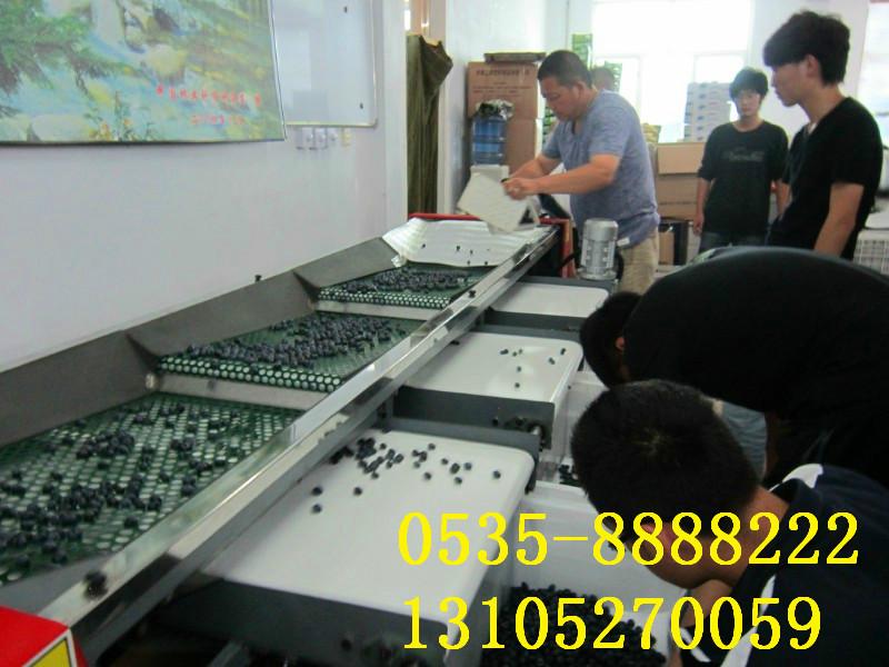 供應(yīng)有機(jī)藍(lán)莓選果機(jī)/*藍(lán)莓分揀設(shè)備/*藍(lán)莓篩選機(jī)山東廠家