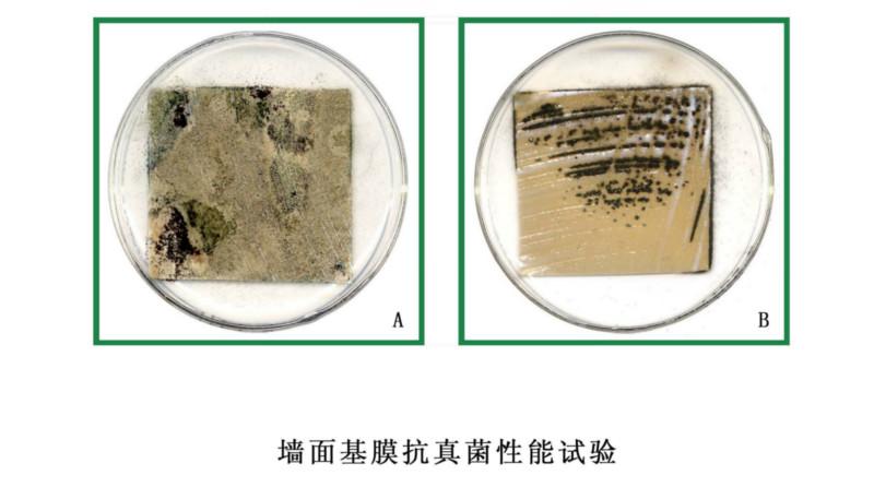 供應涂料防霉檢測價格，防霉檢測，涂料防霉