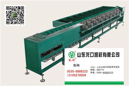 番茄圖片/番茄樣板圖 (2)