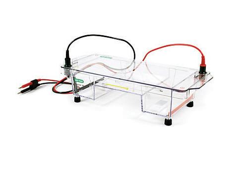 供应美国伯乐BIO-RADSub电泳槽