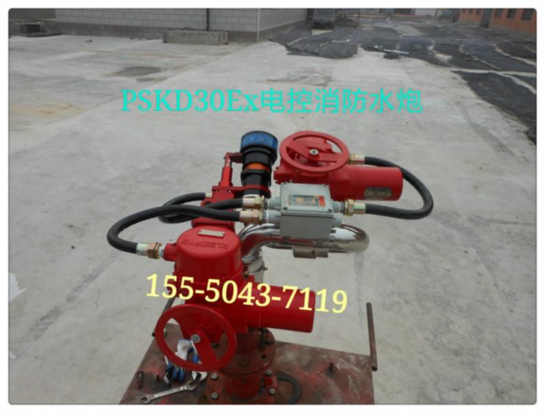 供應(yīng)PS60W消防水炮