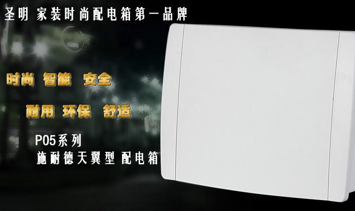 供應(yīng)施耐德天翼配電箱照明配電箱塑料配電箱專業(yè)生產(chǎn)廠家