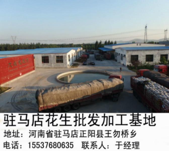 供應花生批發(fā)價格合適
