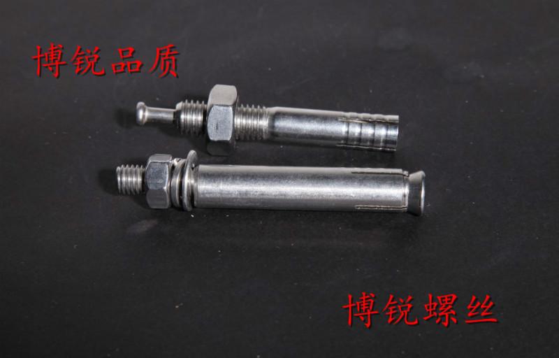 供應(yīng)廣州304不銹鋼膨脹螺絲