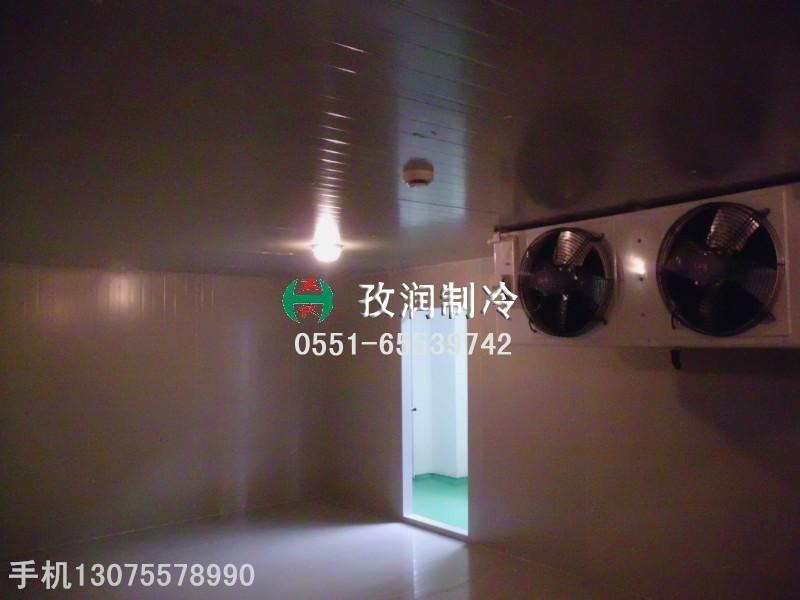 保鮮冷庫圖片/保鮮冷庫樣板圖 (3)