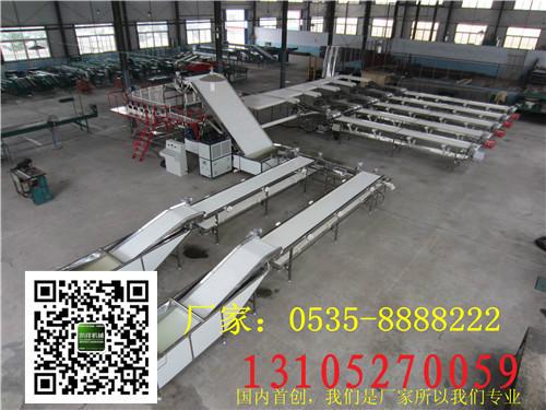 供應(yīng)無(wú)損傷櫻桃選果機(jī)-櫻桃冷卻清洗分
