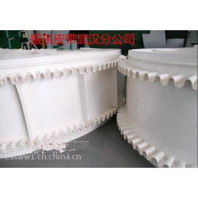 供應(yīng)湖北加工裙邊輸送帶