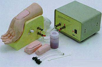 供應(yīng)*動脈穿刺手部模型