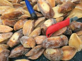 供應(yīng)批發(fā)進口南非黃金鮑螺