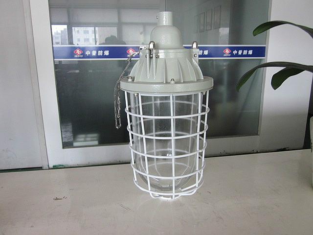 250W防爆燈 DCG防爆燈圖片