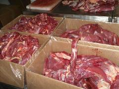 供應(yīng)驢肉/驢肉批發(fā)/驢肉價(jià)格