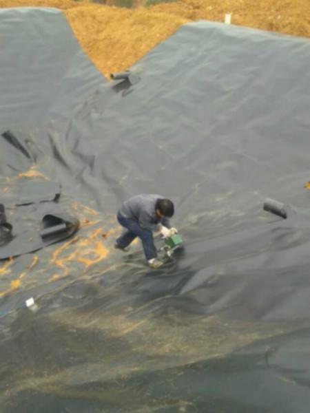 供應(yīng)水產(chǎn)養(yǎng)殖膜出售_地膜廠家直銷_專業(yè)生產(chǎn)廠家