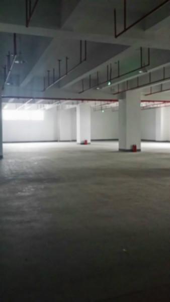 供應(yīng)深圳市峰國物流商超配送