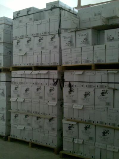 深圳中轉(zhuǎn)配送恒溫倉庫出租圖片