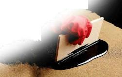 耐酸堿彈性防水涂料圖片