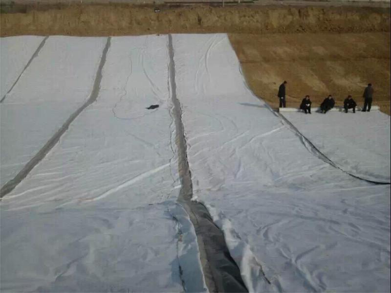 陵縣糙面HDPE土工膜圖片