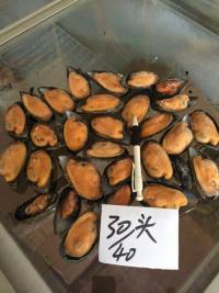 供應(yīng)進(jìn)口智利藍(lán)口貽貝特價