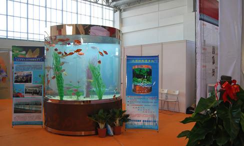 供應(yīng)大型圓柱形魚缸圓柱形海水觀賞魚缸