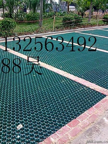 南昌塑料植草格施工圖片