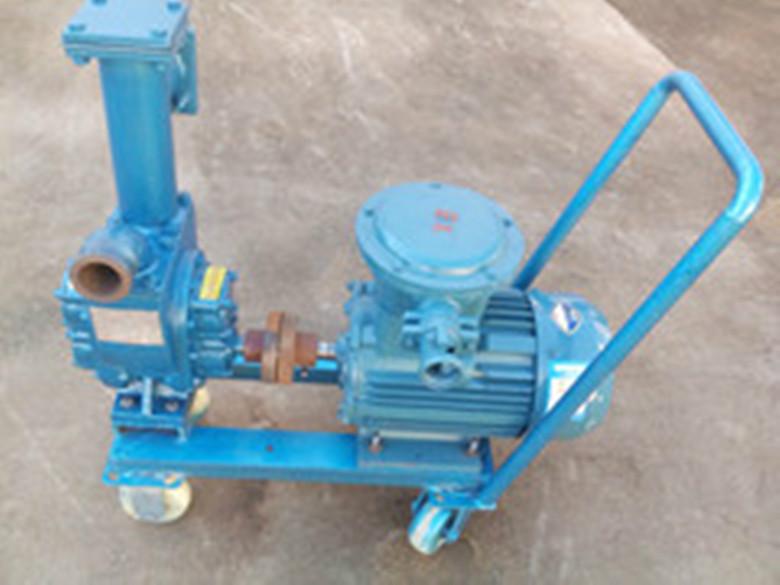 供應(yīng)移動式防爆抽油泵