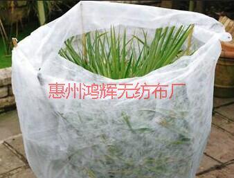 供应蔬菜防寒无纺布 园林绿化无纺布