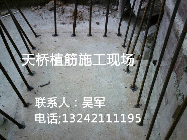 佛山專業(yè)植筋加固 預(yù)埋螺桿 化學(xué)錨栓
