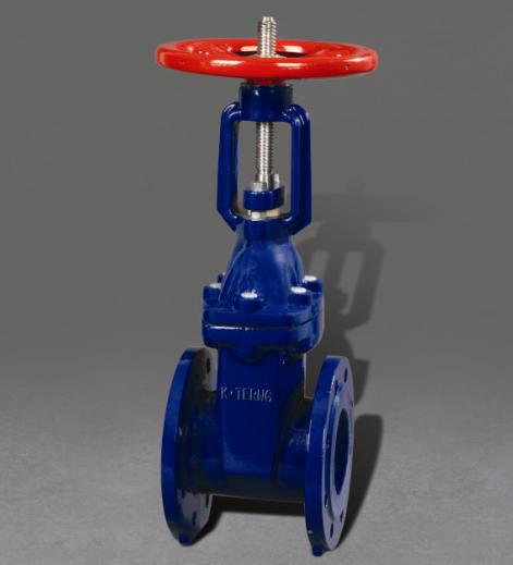 臺灣榮牌軟密封明桿閘閥圖片