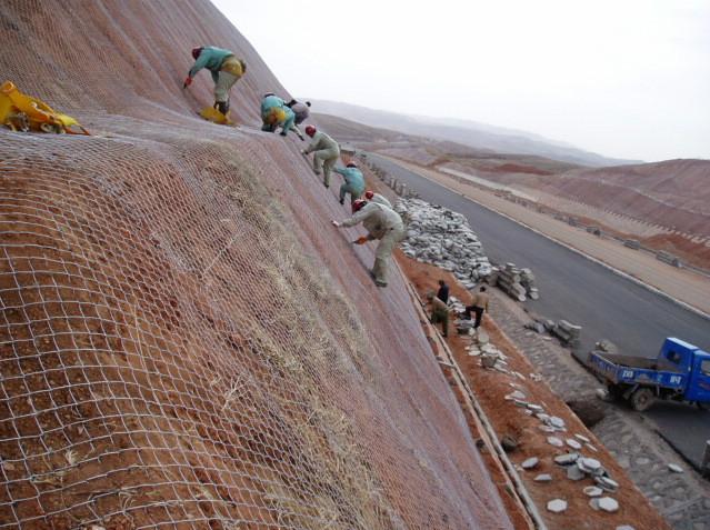 供應(yīng)鍍鋅勾花網(wǎng)-邊坡防護(hù)-鍍鋅-護(hù)坡