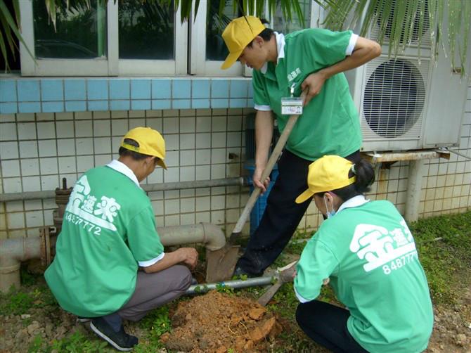 供应笋岗仓库灭鼠笋岗专业杀臭虫笋岗新房预防白蚁金速来图片