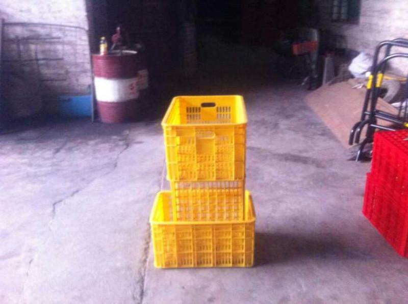 供應(yīng)大號(hào)周轉(zhuǎn)籮供應(yīng)