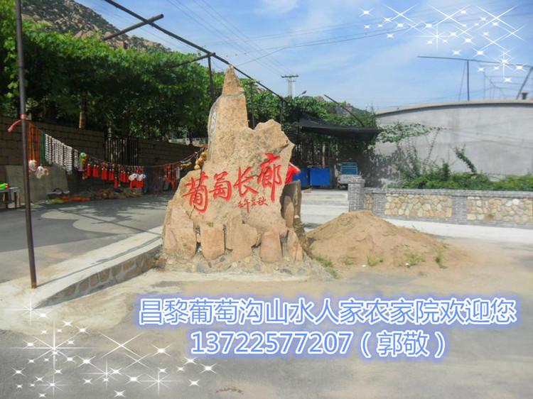 供應(yīng)昌黎葡萄溝度假村住宿--昌黎葡萄溝山水人家農(nóng)家院