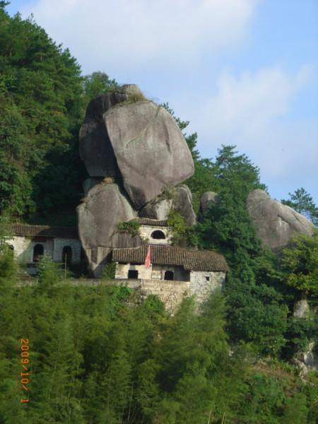 高山黃金桃圖片