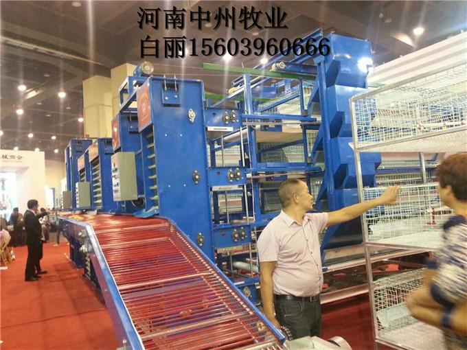武漢雞籠撿蛋機(jī)自動化撿蛋機(jī)圖片
