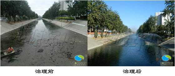 邦源環(huán)保水體生態(tài)修復(fù)圖片
