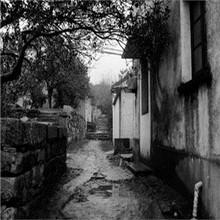 供應(yīng)2015年碧螺春新茶廠家直銷_蘇州東山2015年碧螺春新茶銷售價格供貨商