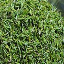 供應(yīng)蘇州東山碧螺春茶葉_蘇州東山碧螺春茶葉廠家銷售_蘇州東山碧螺春價格