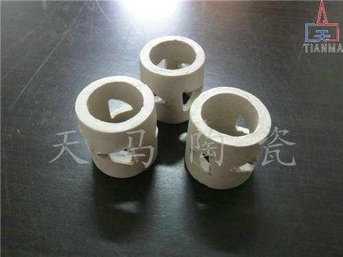 陶瓷洗滌環(huán)填料圖片