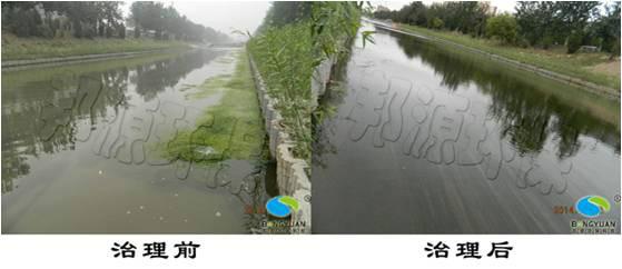 供應邦源環(huán)保刷新景觀水藍藻治理領應