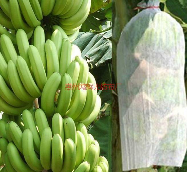 惠州生產(chǎn)無紡布的工廠圖片/惠州生產(chǎn)無紡布的工廠樣板圖 (3)