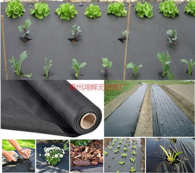供應(yīng)用于的防雜草無(wú)紡布