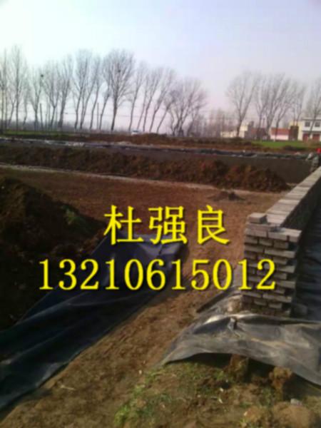 供應糙面土工膜_糙面土工膜山東供應_糙面土工膜廠家