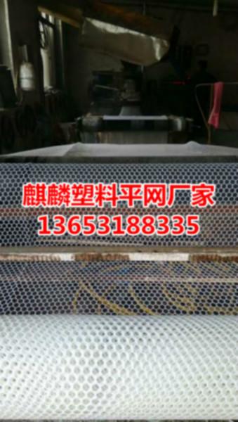 供應(yīng)塑料養(yǎng)雞網(wǎng)/養(yǎng)殖網(wǎng)廠家 塑料養(yǎng)殖網(wǎng)廠家