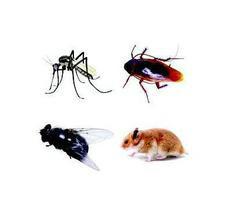 供應(yīng)價(jià)格低的殺蟲公司-昆明價(jià)格低的殺蟲公司-云南省價(jià)格低的殺蟲公司