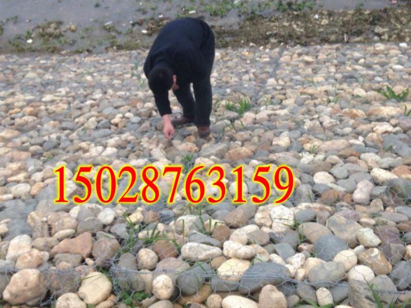 供應雷諾護墊廠家/格賓網(wǎng)墊報價