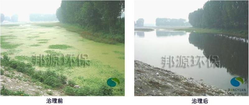 供應邦源環(huán)保浮萍治理技術值得信賴應