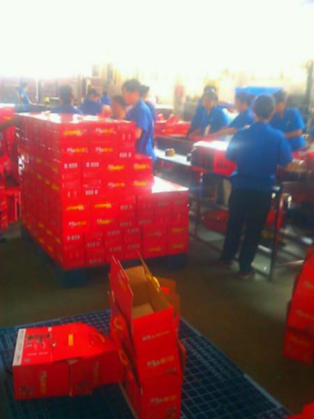 供應(yīng)北京解酒飲料/解酒飲料/醒酒飲料/飲料加盟/飲料招商