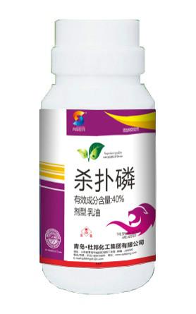 供應(yīng)殺稻飛虱稻蟲用什么藥毒死蜱