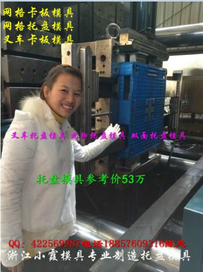 供應(yīng)1.5米單面注射托盤模具