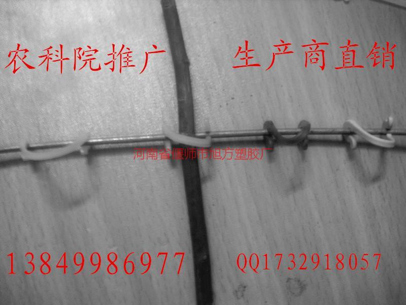 供應(yīng)葡萄綁枝卡報(bào)價(jià)，葡萄綁枝卡批發(fā)報(bào)價(jià)，葡萄綁枝卡價(jià)格