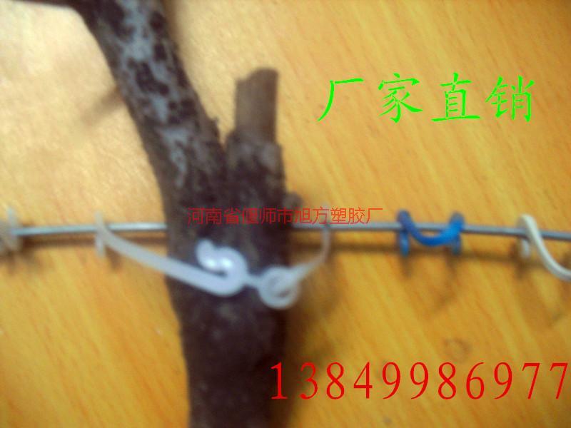 供應浙江葡萄綁枝卡子廠家直銷、浙江葡萄綁枝卡生產電話，浙江哪里有葡萄綁枝卡批發(fā)